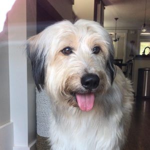 Meet your Posher, Brian